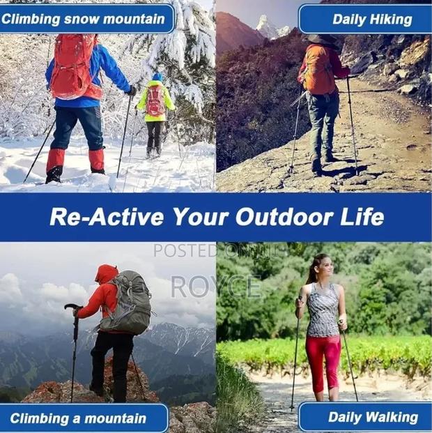 Hiking Stick - thumbnail 3