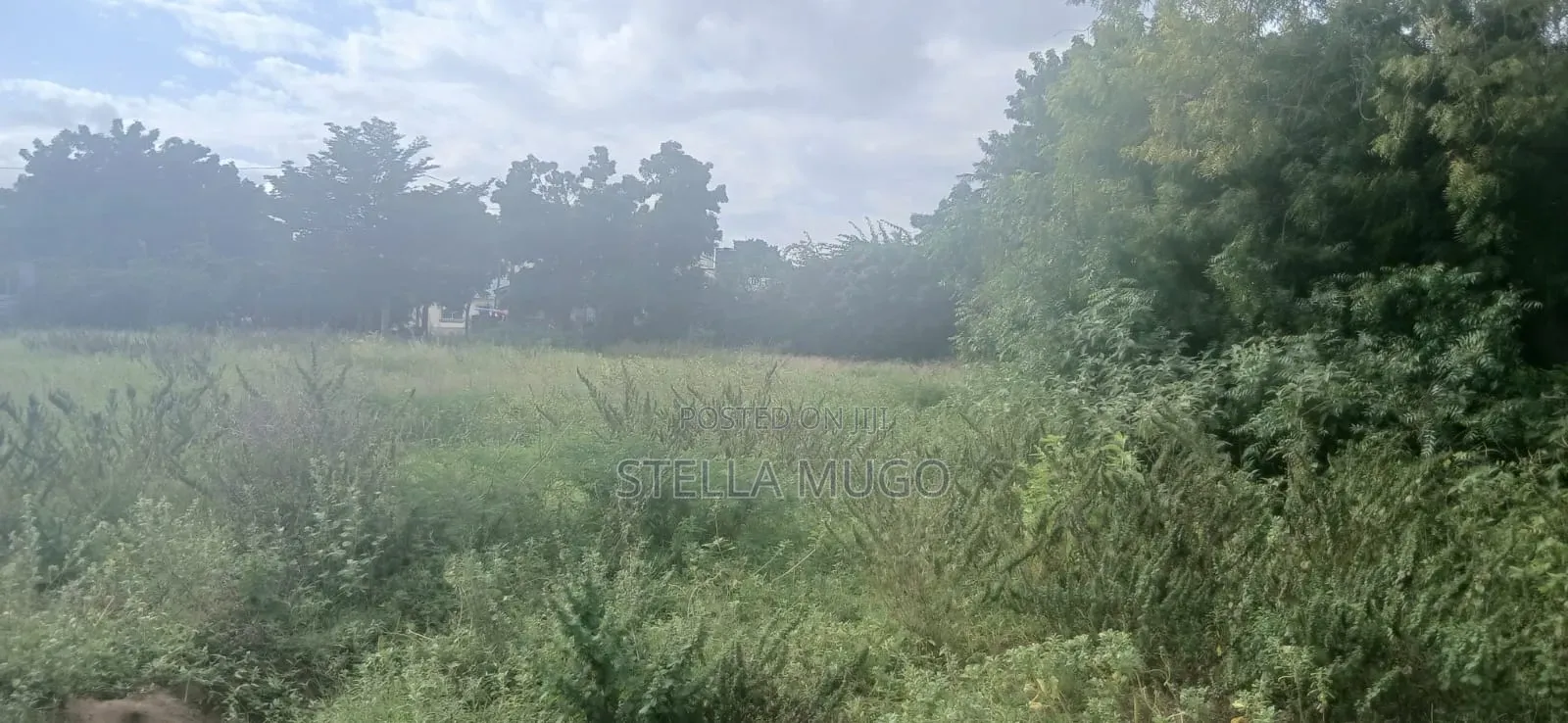 Prime 1/2 Acre Commercial Plot