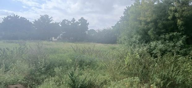 Prime 1/2 Acre Commercial Plot