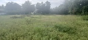 Prime 1/2 Acre Commercial Plot