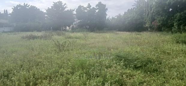 Prime 1/2 Acre Commercial Plot - thumbnail 2