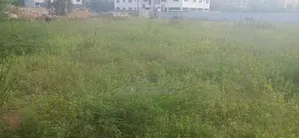 Prime 1/2 Acre Commercial Plot