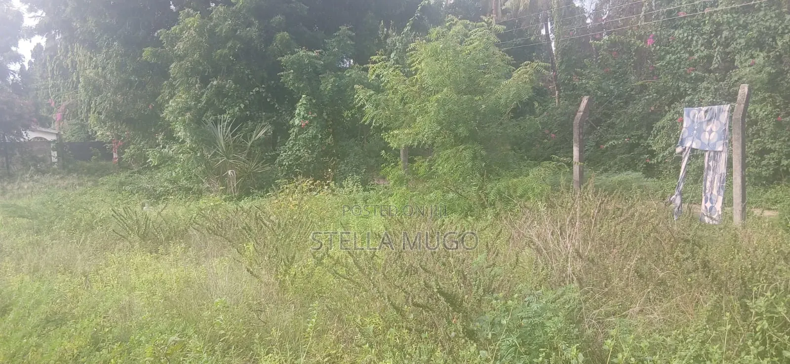 Prime 1/2 Acre Commercial Plot