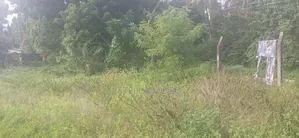 Prime 1/2 Acre Commercial Plot