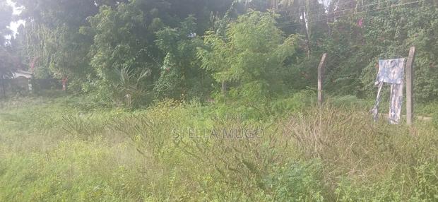 Prime 1/2 Acre Commercial Plot - thumbnail 4