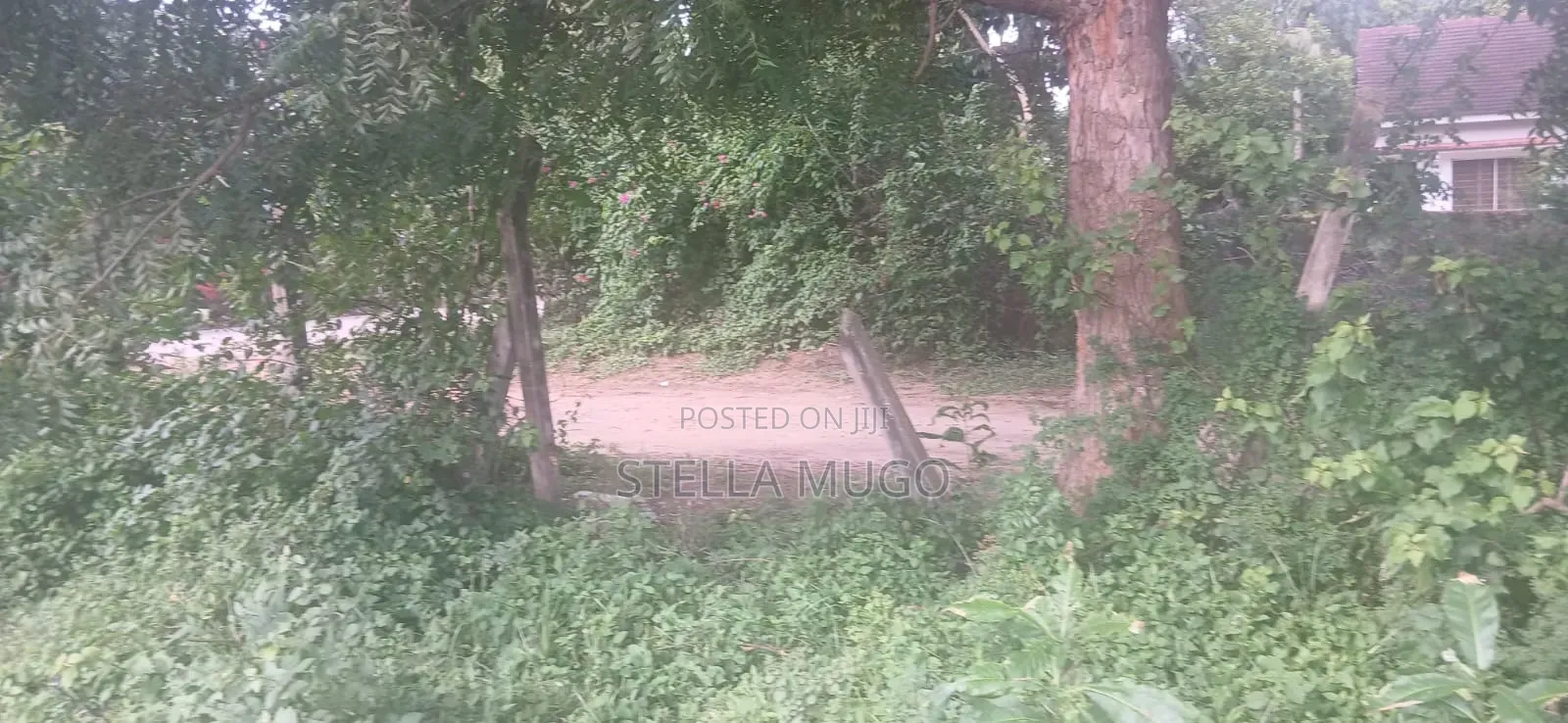 Prime 1/2 Acre Commercial Plot