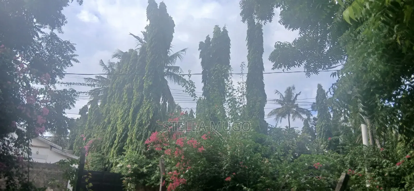 Prime 1/2 Acre Commercial Plot