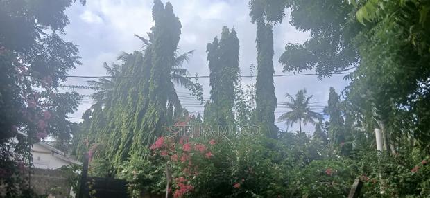 Prime 1/2 Acre Commercial Plot - thumbnail 8