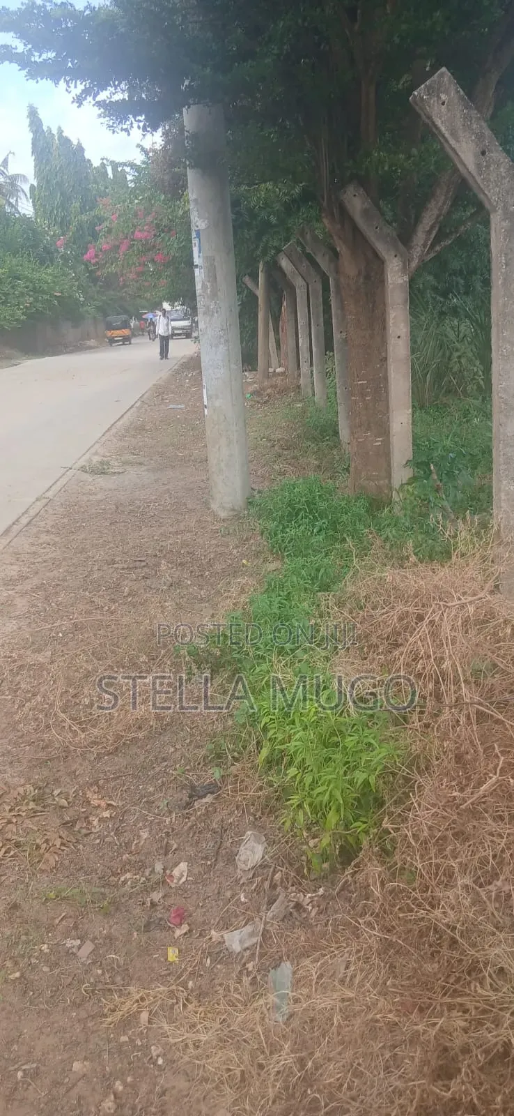 Prime 1/2 Acre Commercial Plot