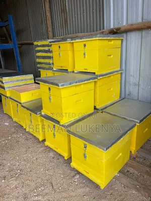 Quality Langstroth Beehives for Sale.