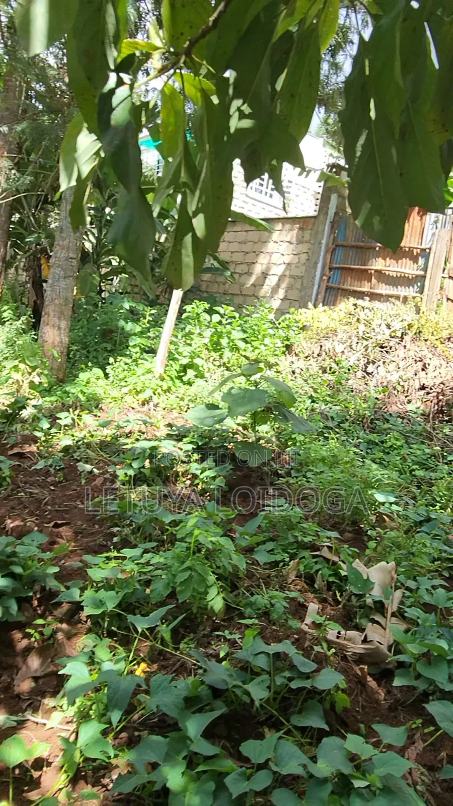 3⁄4 Acre Ngong-Lemiso (Lemiso Ridge Gated)