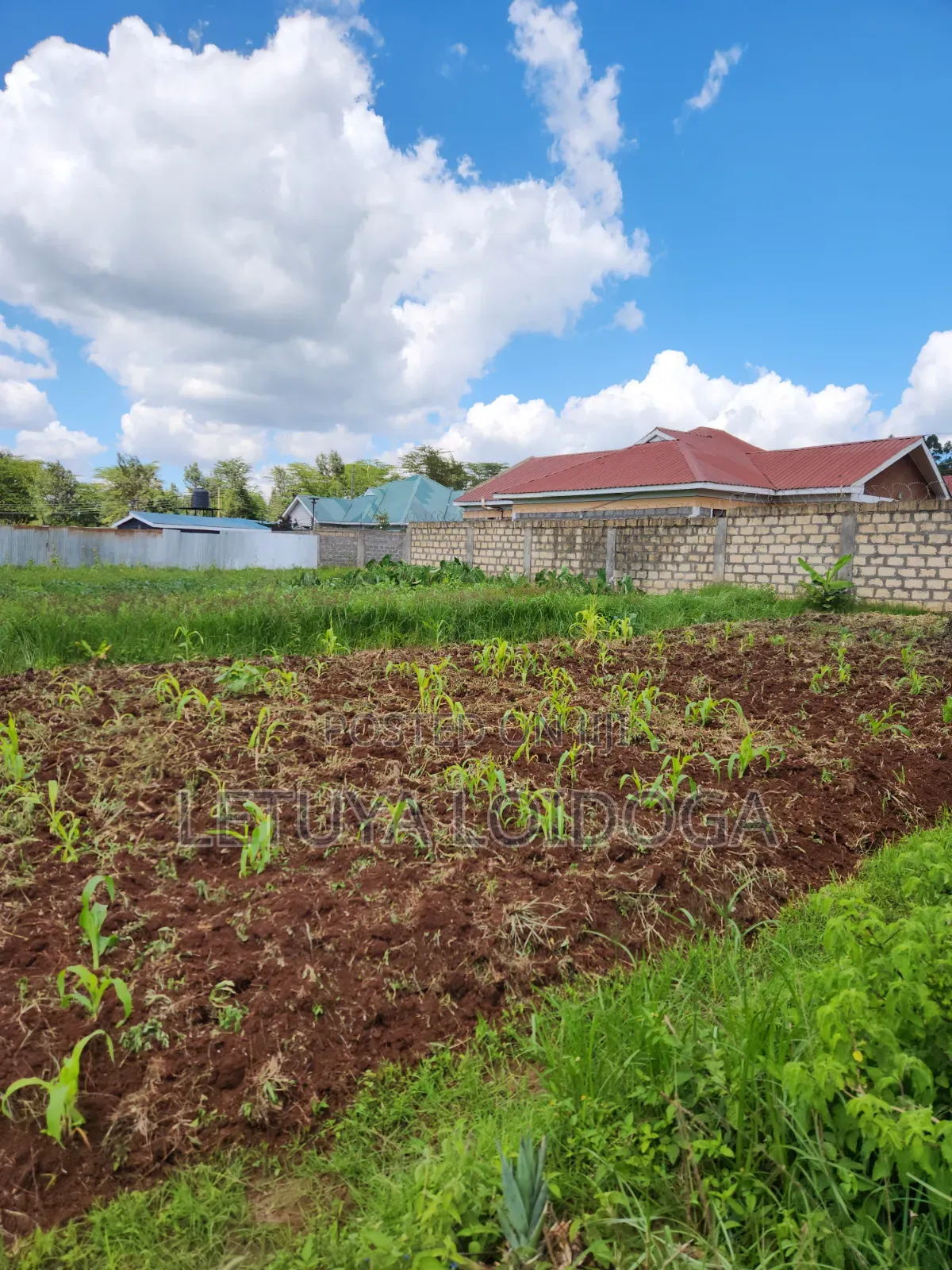 Ngong-Kibiko 3⁄4 Acre Maragara Road
