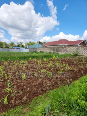 Ngong-Kibiko 3⁄4 Acre Maragara Road