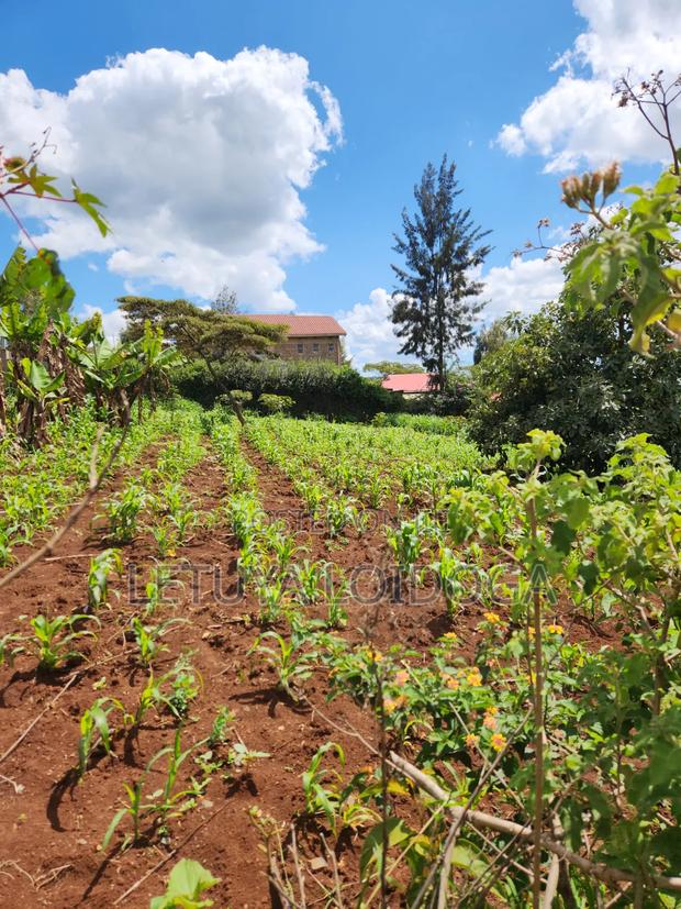 Ngong-Kibiko 3⁄4 Acre Maragara Road - thumbnail 6