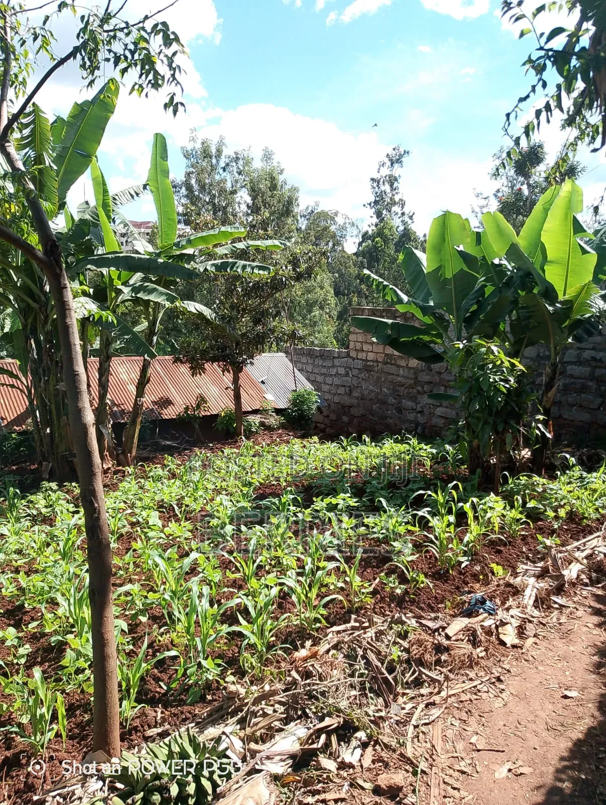 Plot for Sale