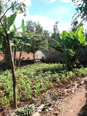 Plot for Sale