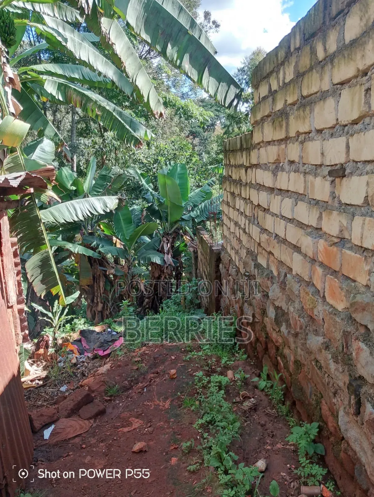 Plot for Sale