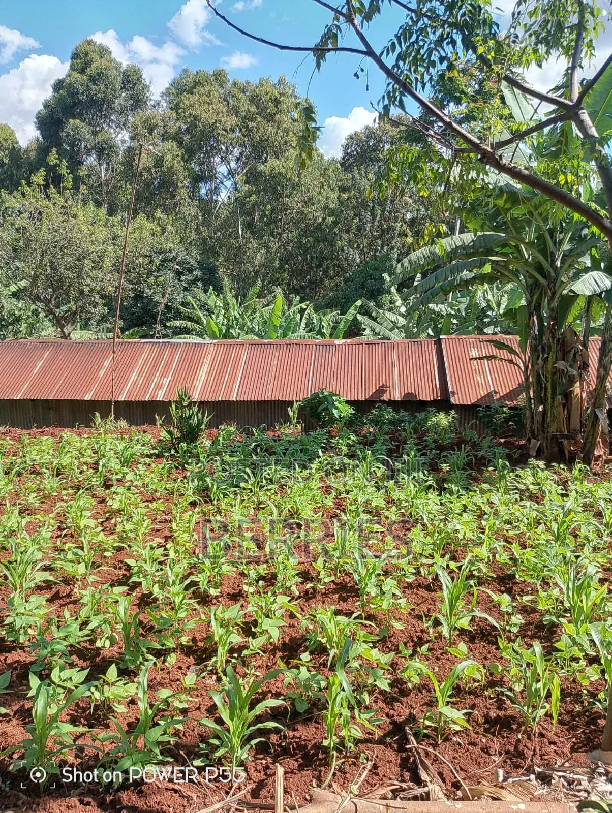 Plot for Sale