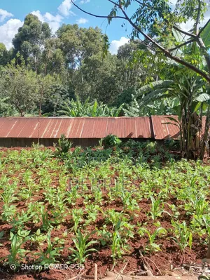 Plot for Sale