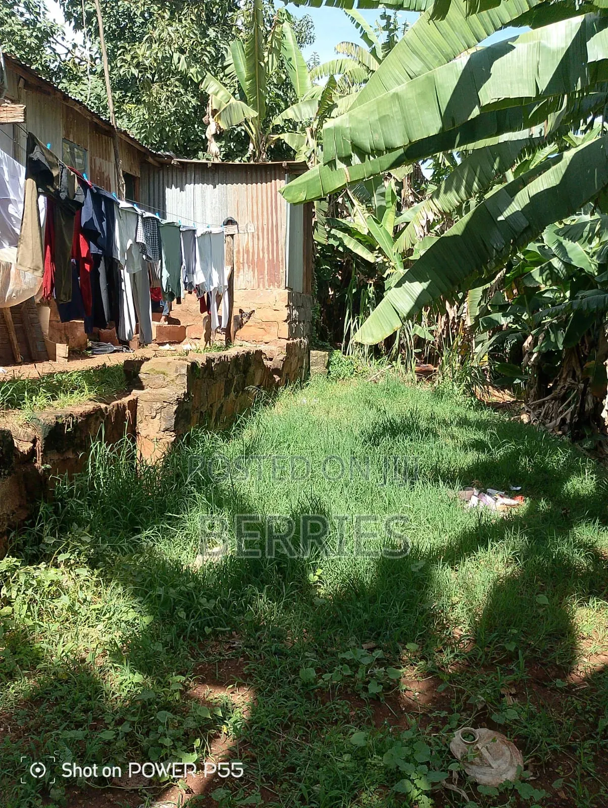 Plot for Sale