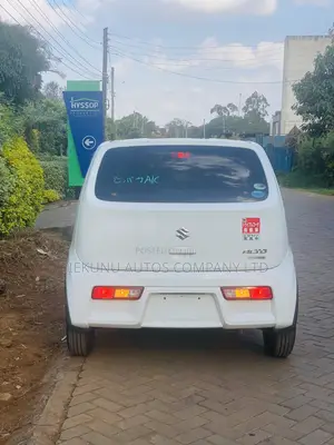 Suzuki Alto 2019 White