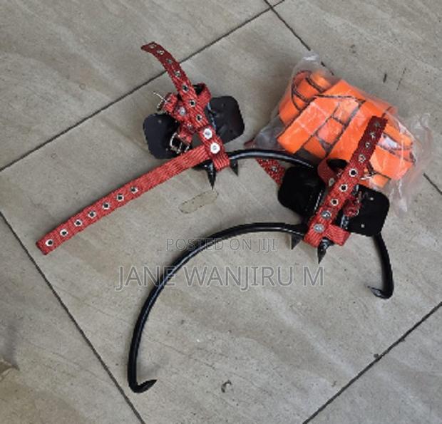 Professional Tree Climbing Spikes – Durable Climbing Gear