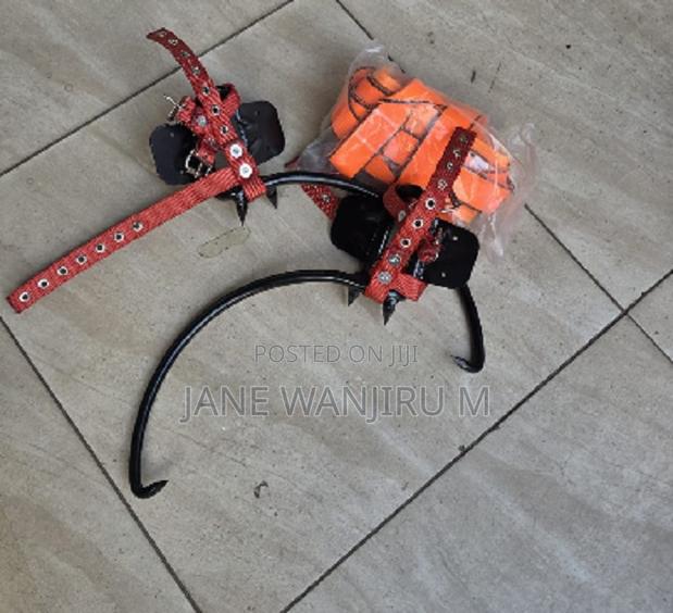 Tree Climber Gaffs With Safety Straps – Heavy Duty Design - main view