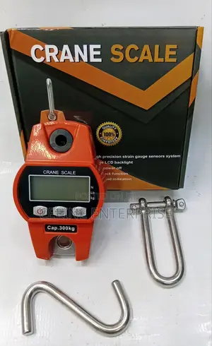 300kg Crane Scale