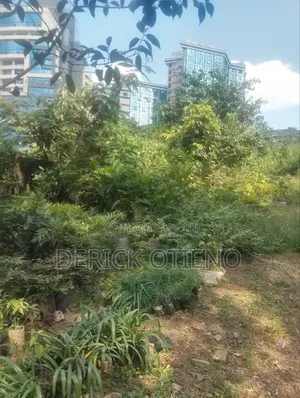 Land for Lease in Ngong Road