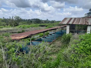 604 Acre Makuyu
