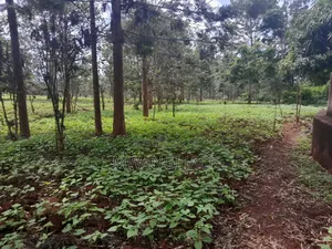 604 Acre Makuyu