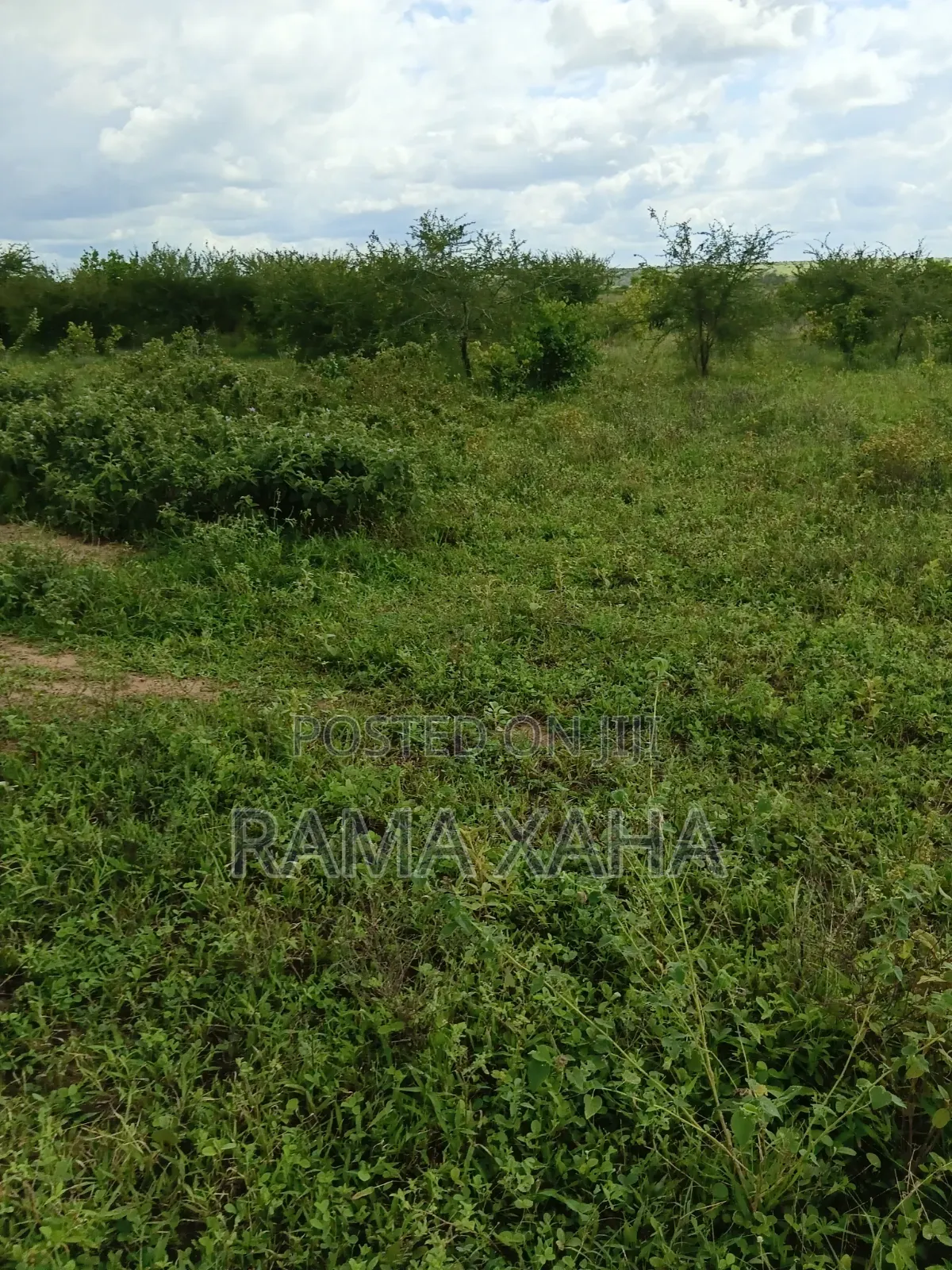 2.5 Acres for Sale at Sosobora With Ready Title Deed