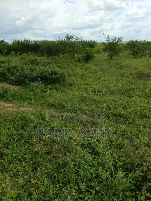 3.5 Acres for Sale at Sosobora With Ready Title Deed