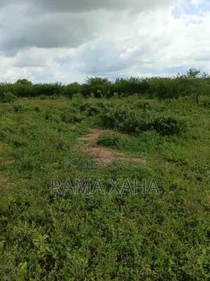 2.5 Acres for Sale at Sosobora With Ready Title Deed
