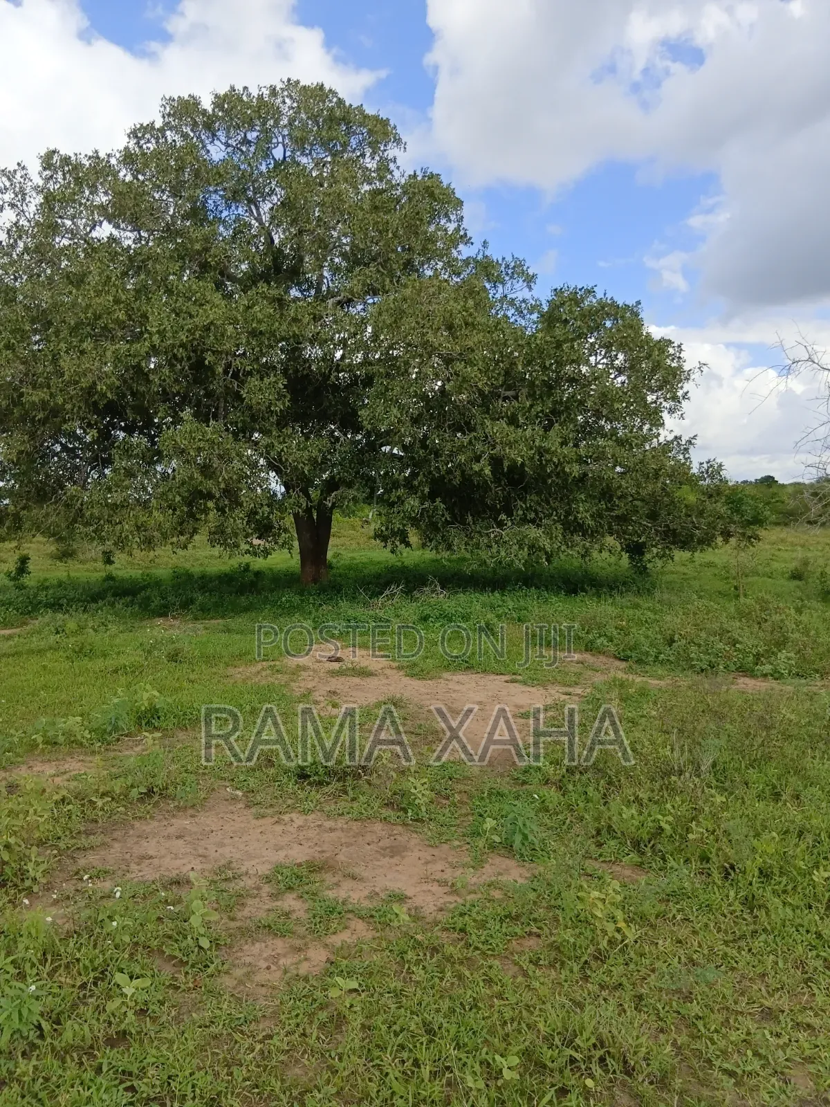 2.5 Acres for Sale at Sosobora With Ready Title Deed