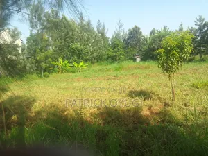 Prime Land for Sale in Kisumu Nyahera