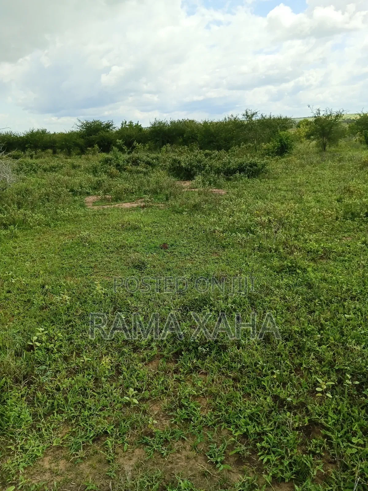 2.5 Acres for Sale at Sosobora With Ready Title Deed