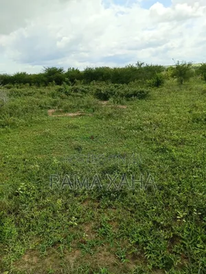 2.5 Acres for Sale at Sosobora With Ready Title Deed
