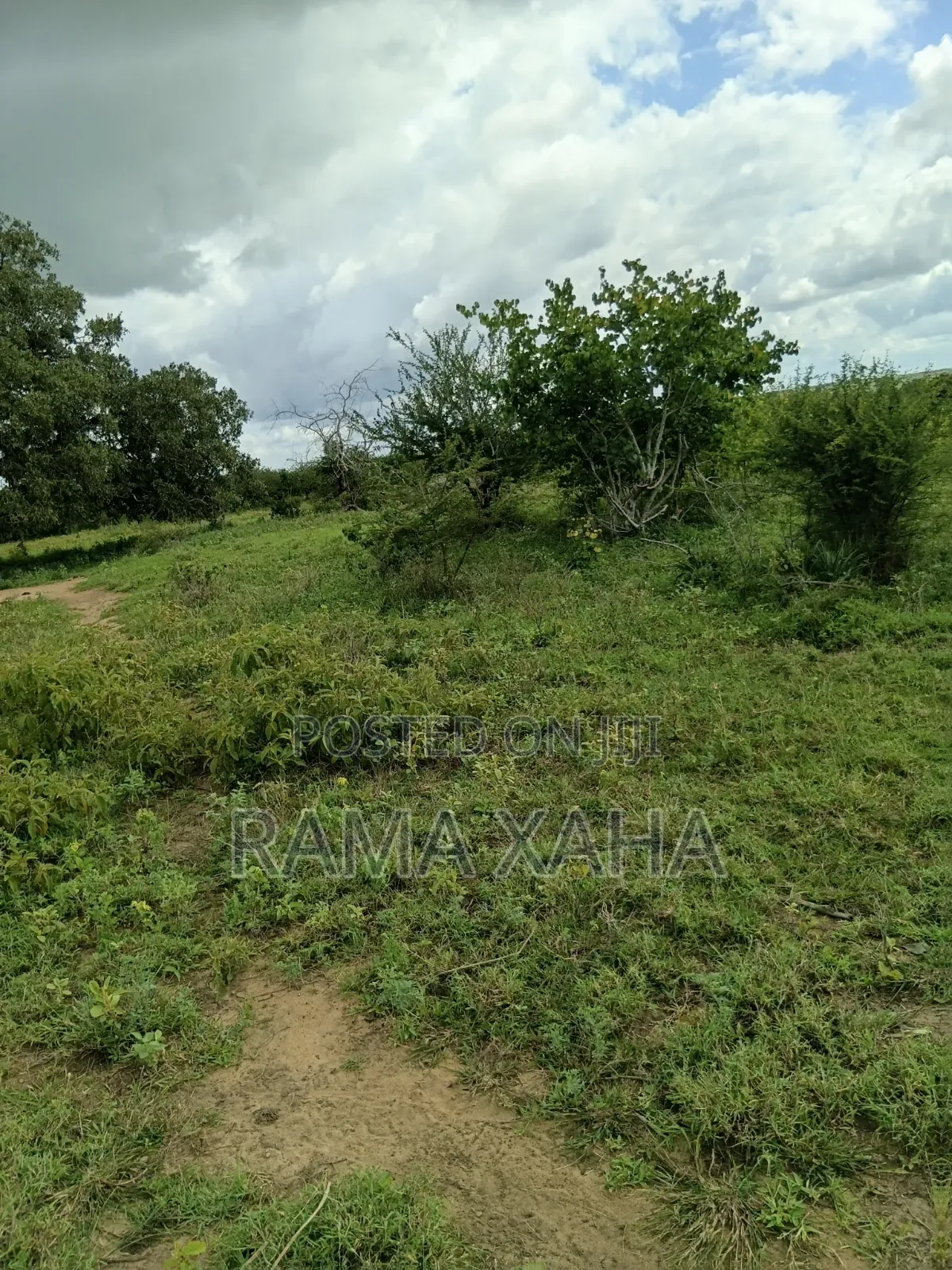 2.5 Acres for Sale at Sosobora With Ready Title Deed