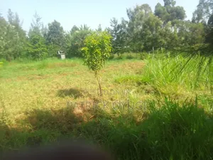 Prime Land for Sale in Kisumu Nyahera