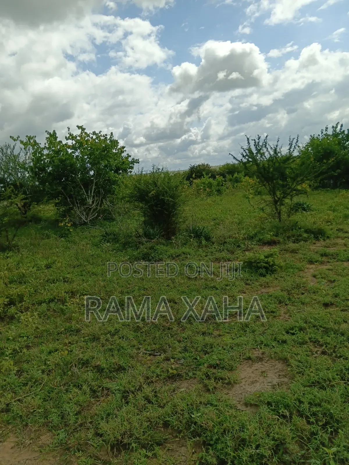 2.5 Acres for Sale at Sosobora With Ready Title Deed