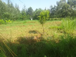 Prime Land for Sale in Kisumu Nyahera