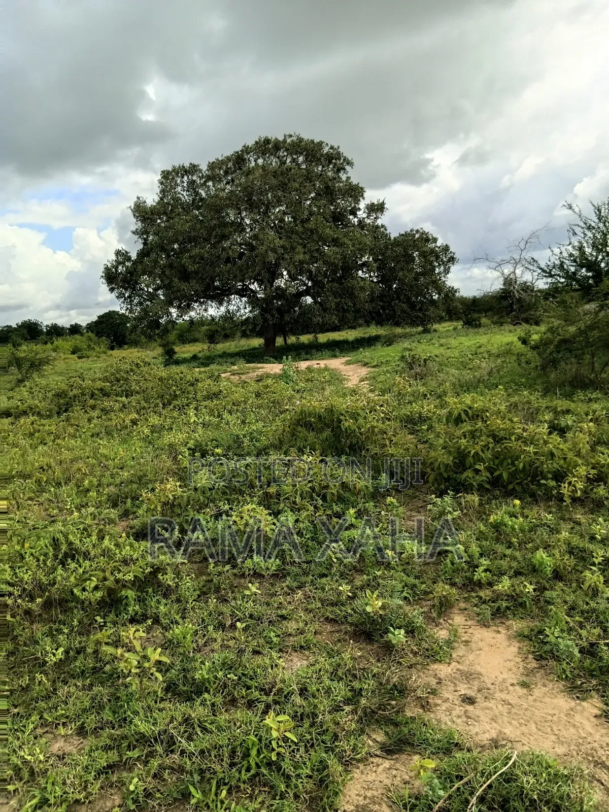 2.5 Acres for Sale at Sosobora With Ready Title Deed