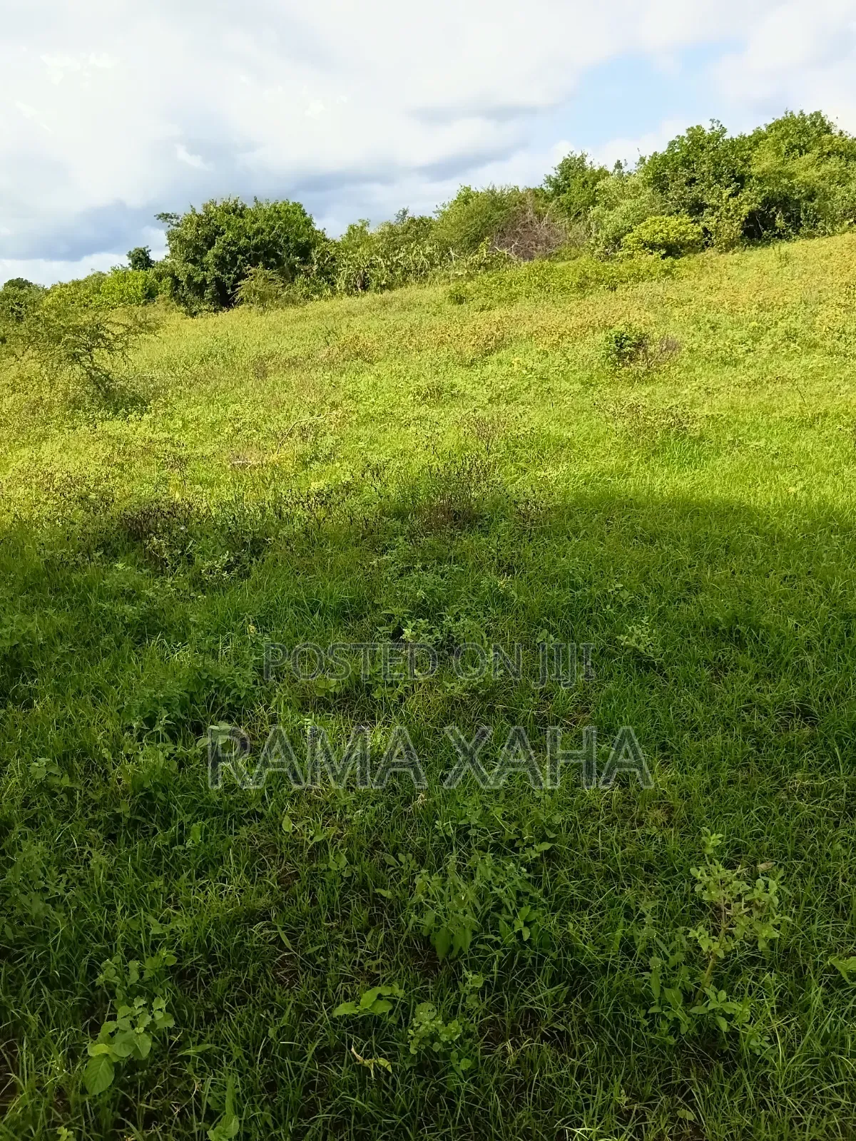 2.5 Acres for Sale at Sosobora With Ready Title Deed