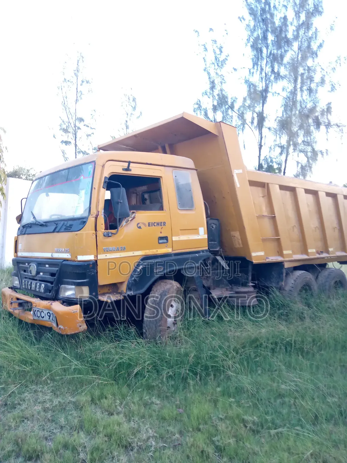 Eicher Terra 25
