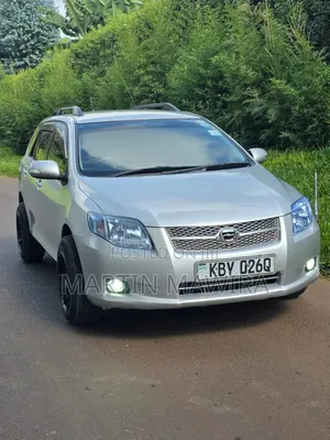 Toyota Corolla Fielder 2007 Silver