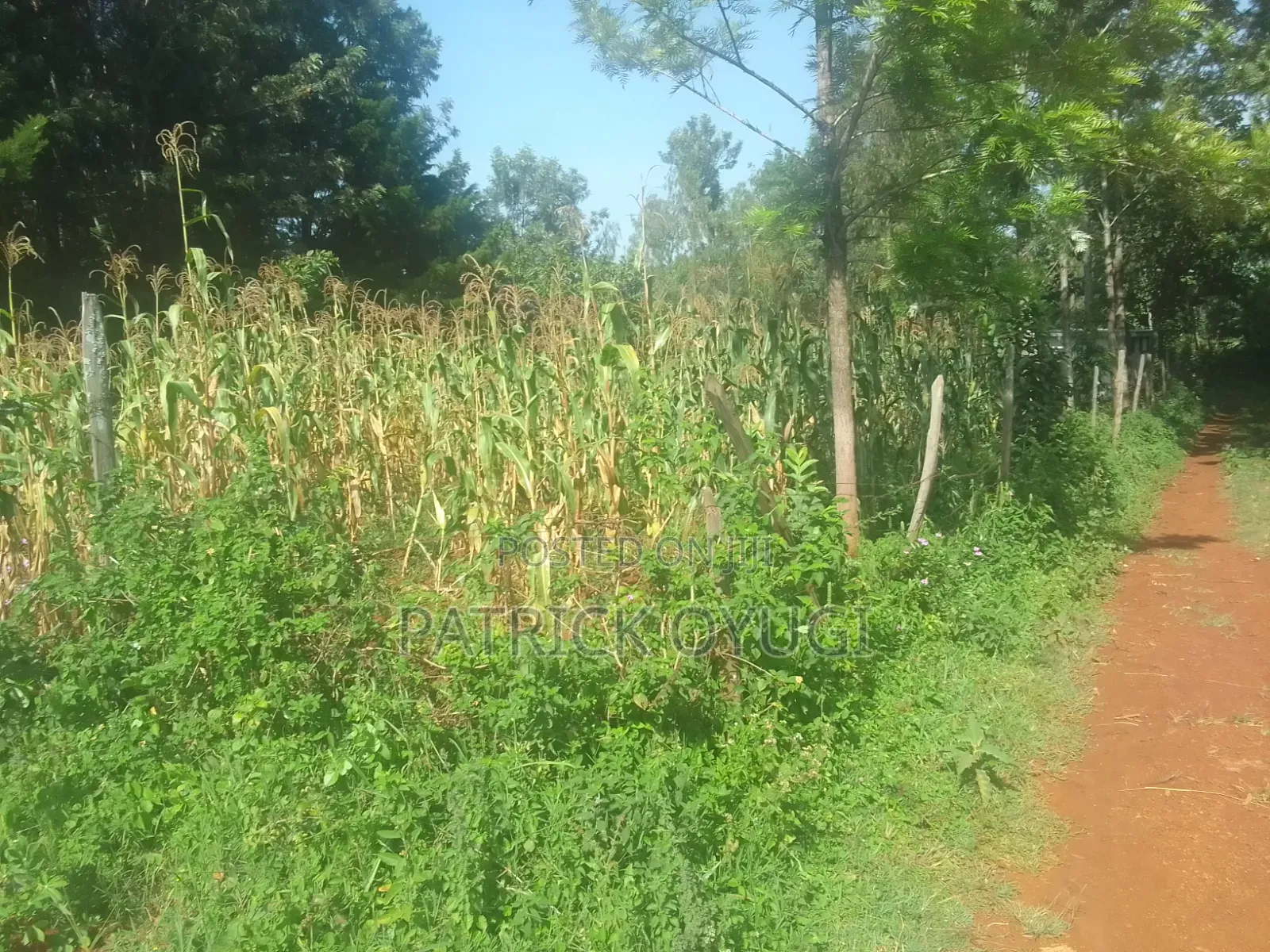 Nyahera Land for Sale