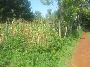 Nyahera Land for Sale