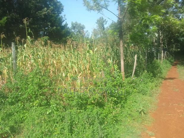 Nyahera Land for Sale