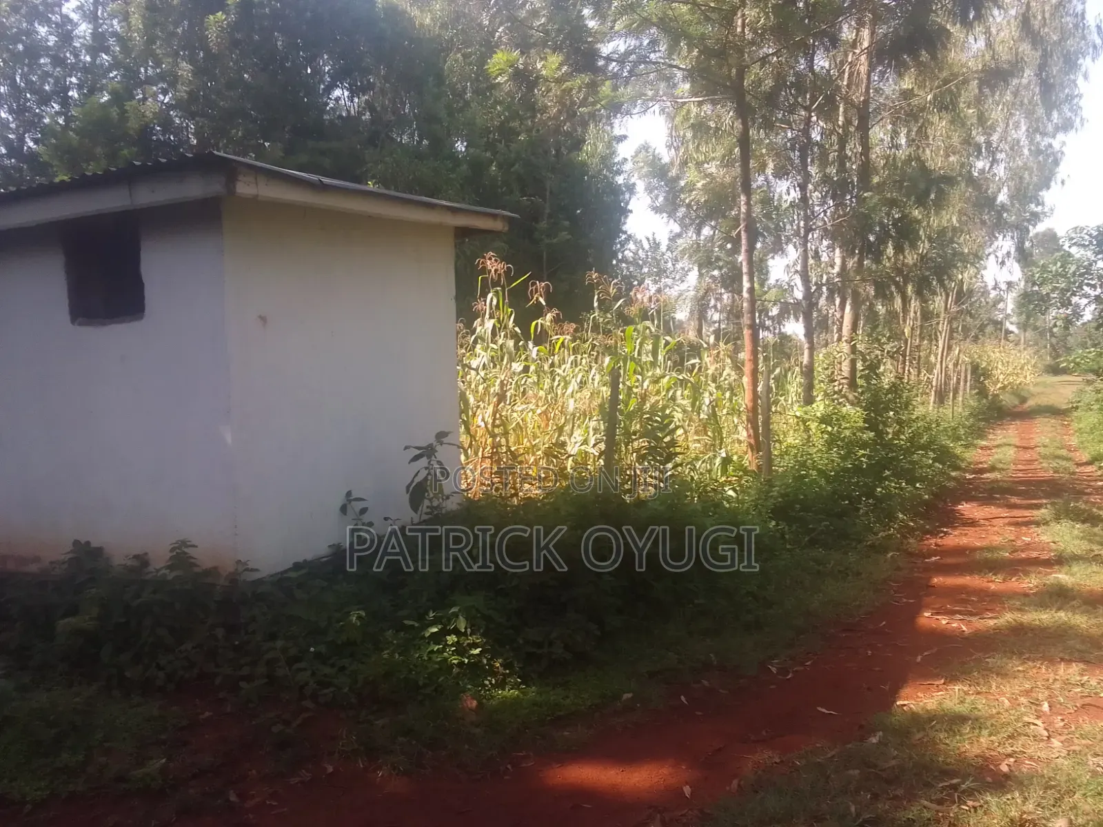 Nyahera Land for Sale